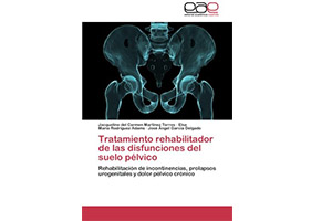 Tratamiento rehabilitador de las disfunciones del suelo pélvico